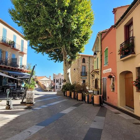 Chambre Climatisee Entre Mer Et Montagne, Avec Sdb Et Wc Privatifs Laroque-des-Albères Exterior foto